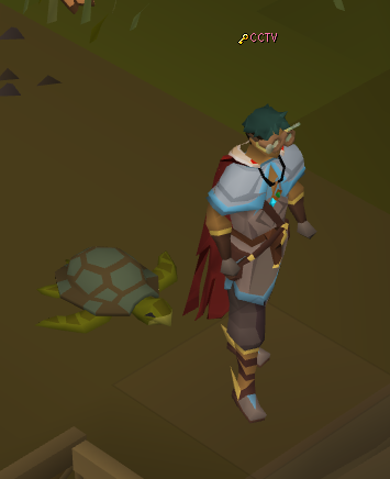 Sailing Pet