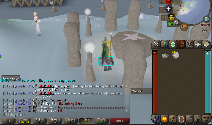 Runecrafting Pet